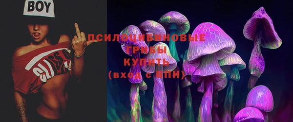 соль курить ск Ельня