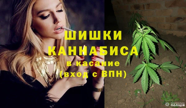 соль курить ск Ельня