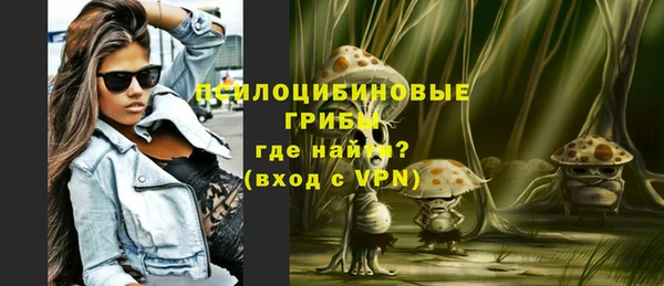 соль курить ск Ельня