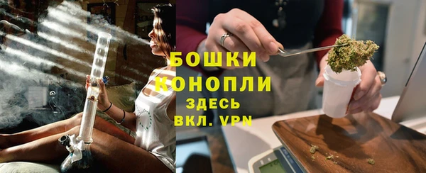 ешки Дмитриев