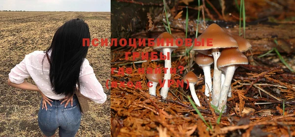 соль курить ск Ельня