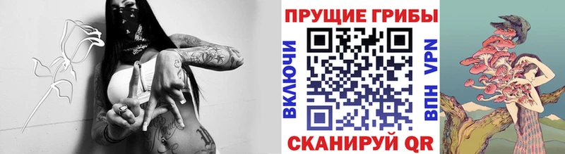 купить закладку  мега ТОР  Галлюциногенные грибы ЛСД  Канаш 